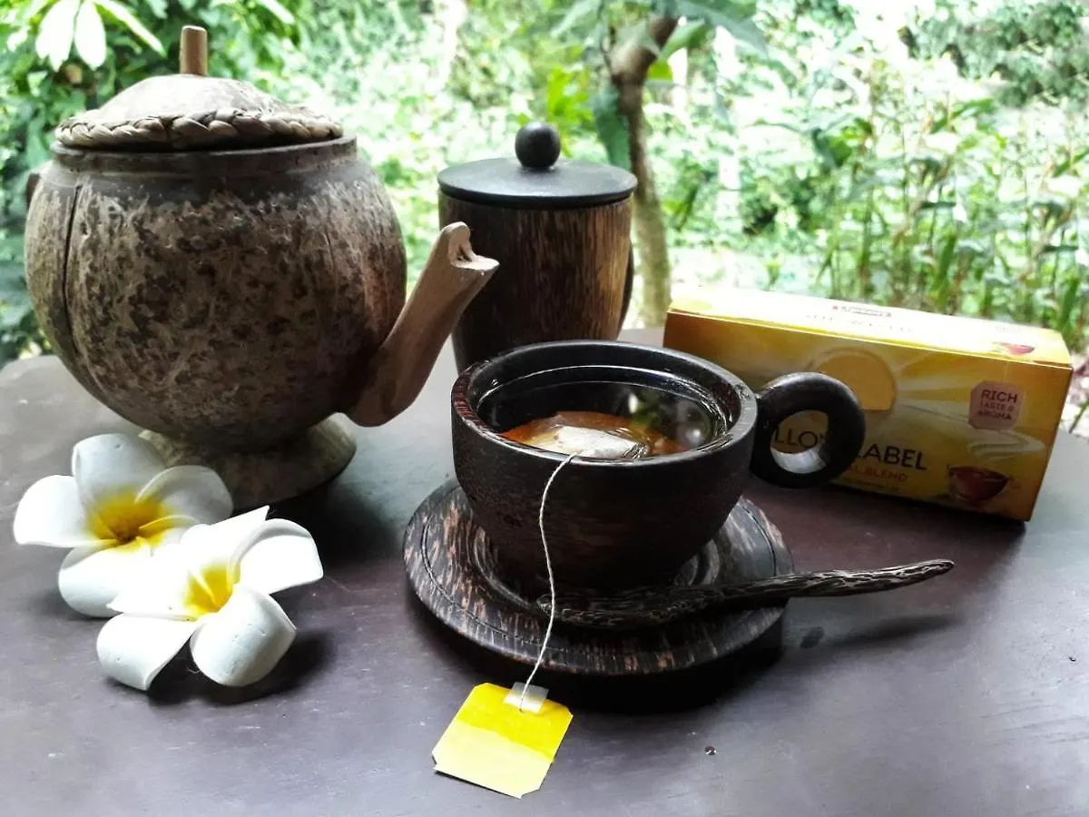 Hostal Barefoot Inn Kandy